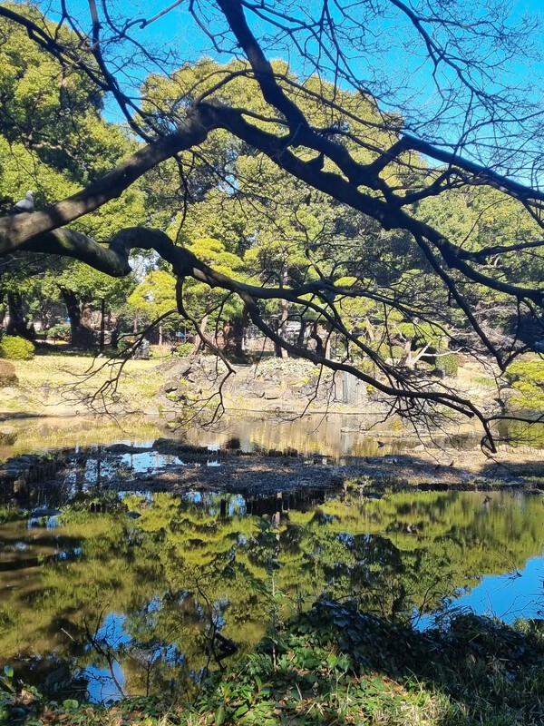 에도성 앞 해자와 호수 풍경