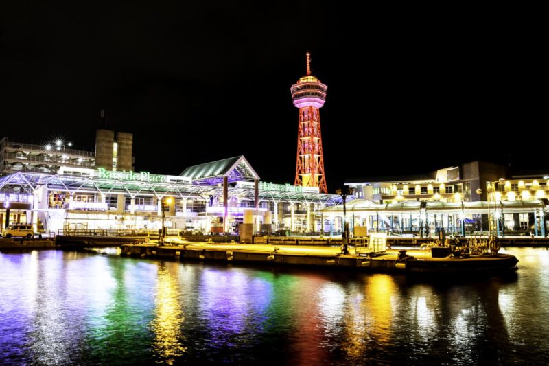 베이사이드 플레이스 하카타의 야자수 라이트업과 워터프런트 일루미네이션