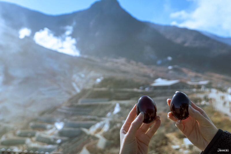 하코네 로프웨이에서 보이는 오와쿠다니 계곡 겨울 전경