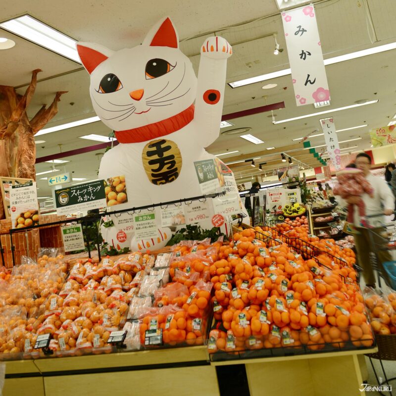 겨울 제철 과일 일본 귤과 감 사진