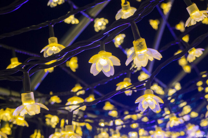 大井竞马场点灯 Tokyo Mega Illumi 光之隧道