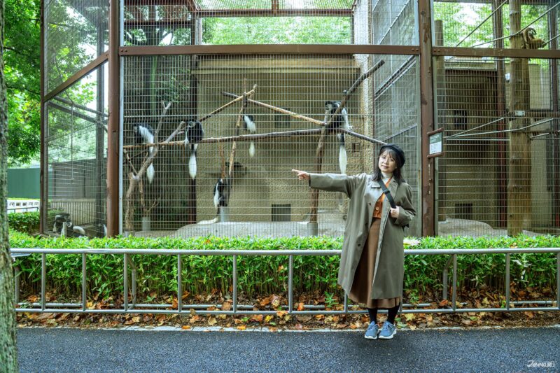 우에노 동물원 안내 사진