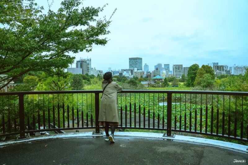 우에노 동물원 안내 사진