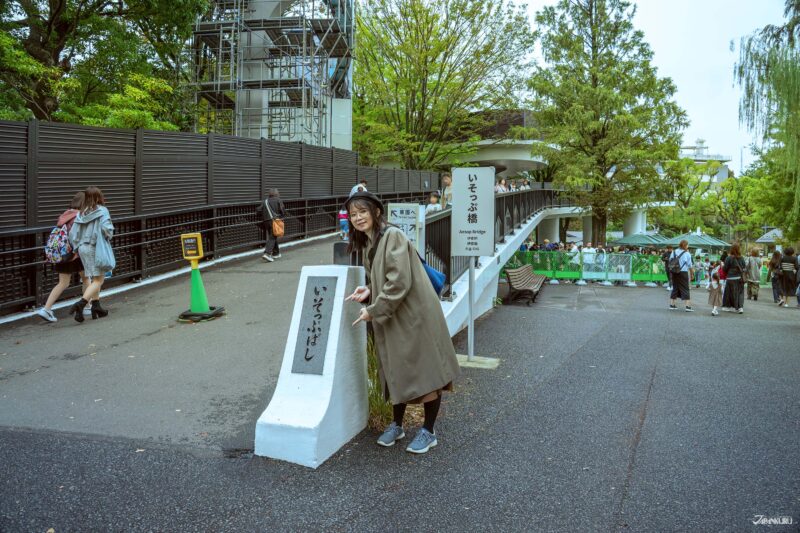 우에노 동물원 안내 사진