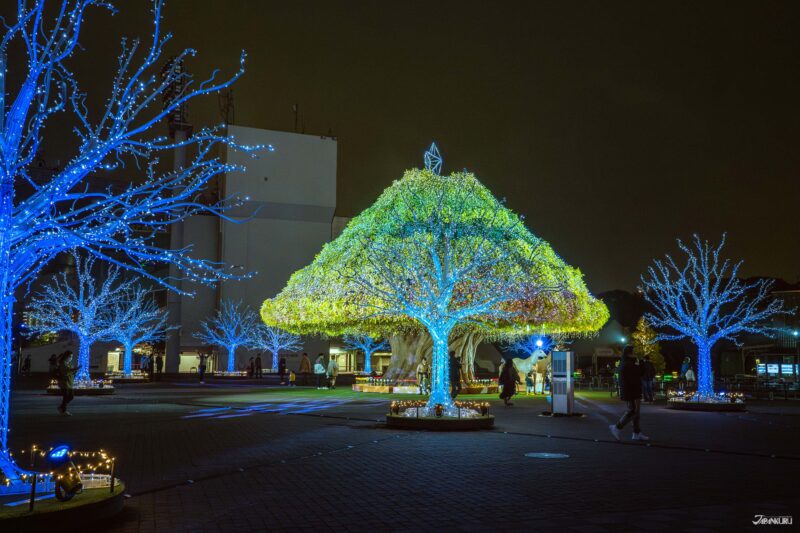 大井竞马场点灯 Tokyo Mega Illumi