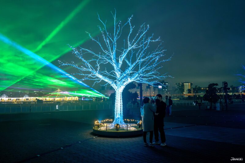 大井竞马场点灯 Tokyo Mega Illumi