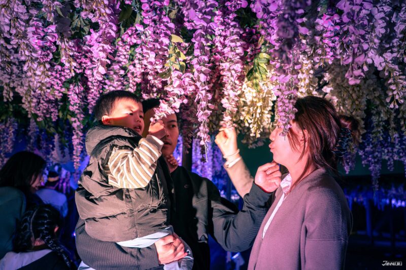 大井竞马场点灯 Tokyo Mega Illumi