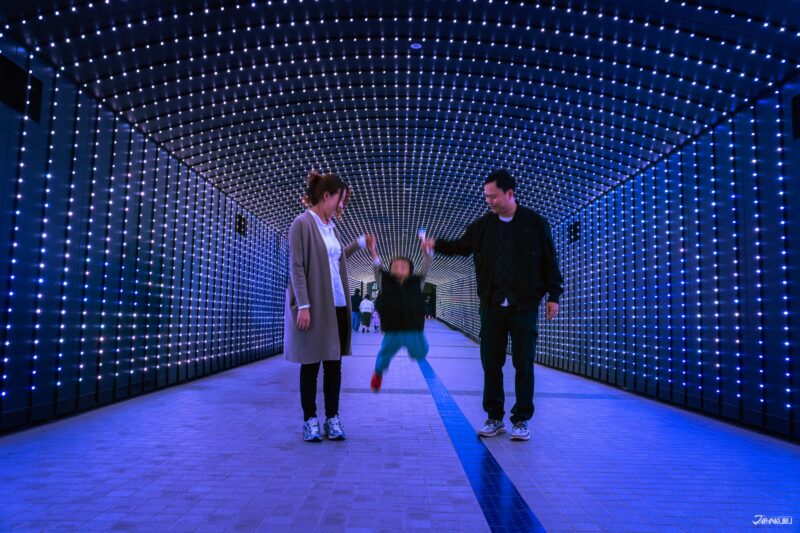 大井竞马场点灯 Tokyo Mega Illumi