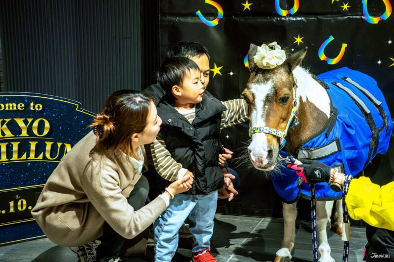 大井竞马场点灯 Tokyo Mega Illumi 迷你马