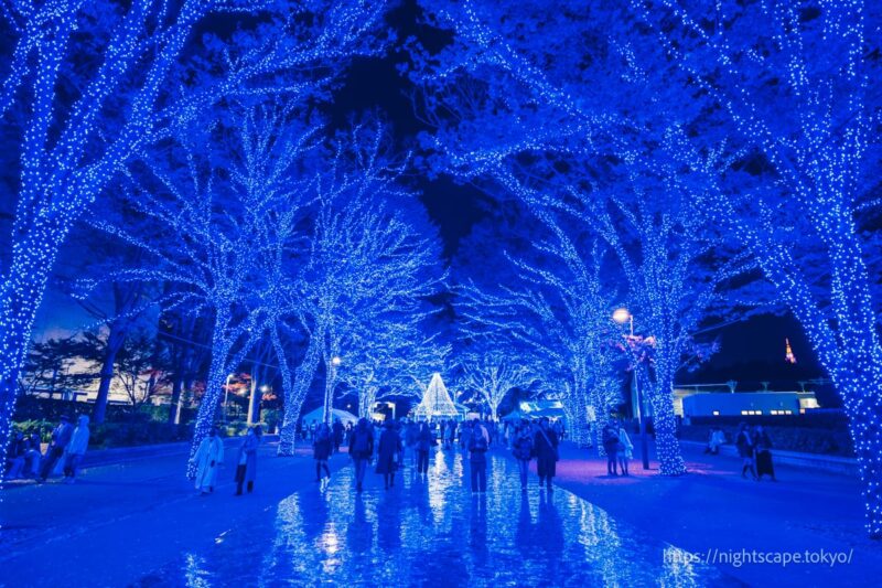 아오노도쿠츠 시부야, 블루 일루미네이션 거리 풍경