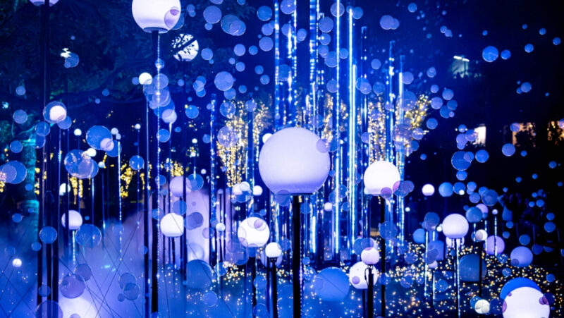 미드타운 크리스마스 2025, 골드빛 일루미네이션 전경