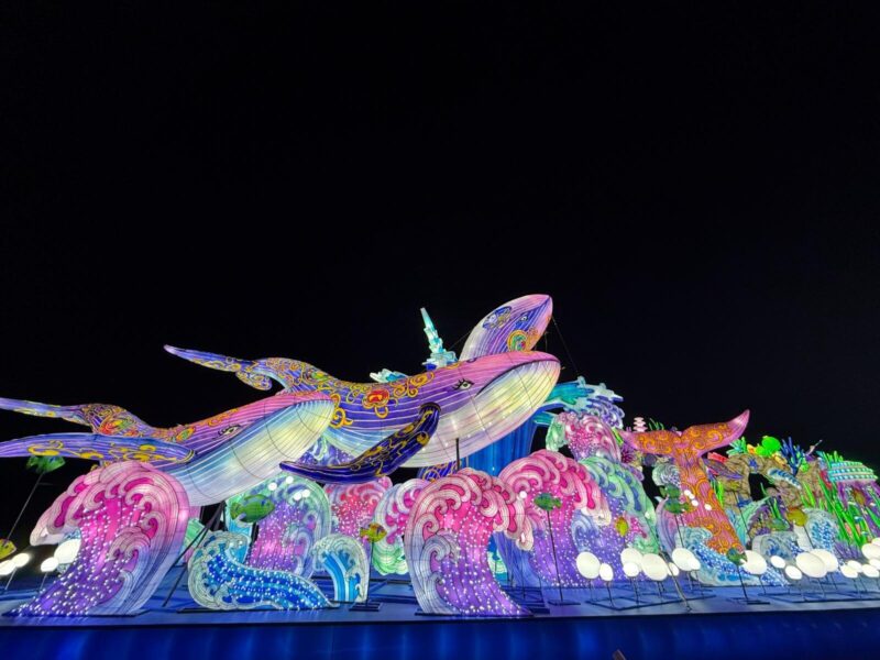 도쿄 도이츠무라 일루미네이션 모나리자 지상화와 빛의 연출