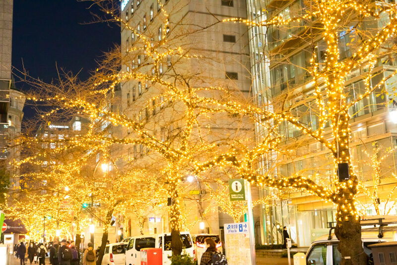 도쿄 일루미리아 니혼바시 사쿠라도리 라이트업 모습