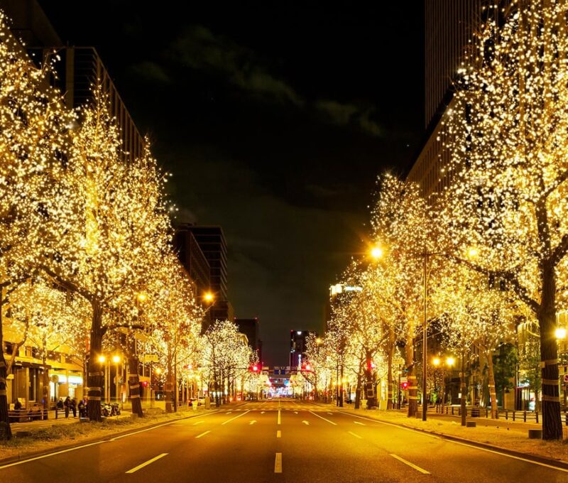 미도스지 일루미네이션 이미지
