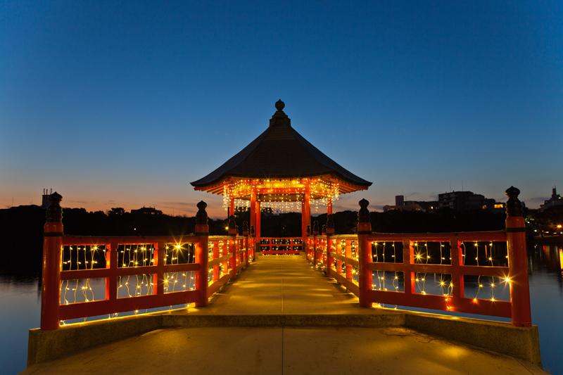 오호리공원 연못과 정원 주변의 겨울 일루미네이션