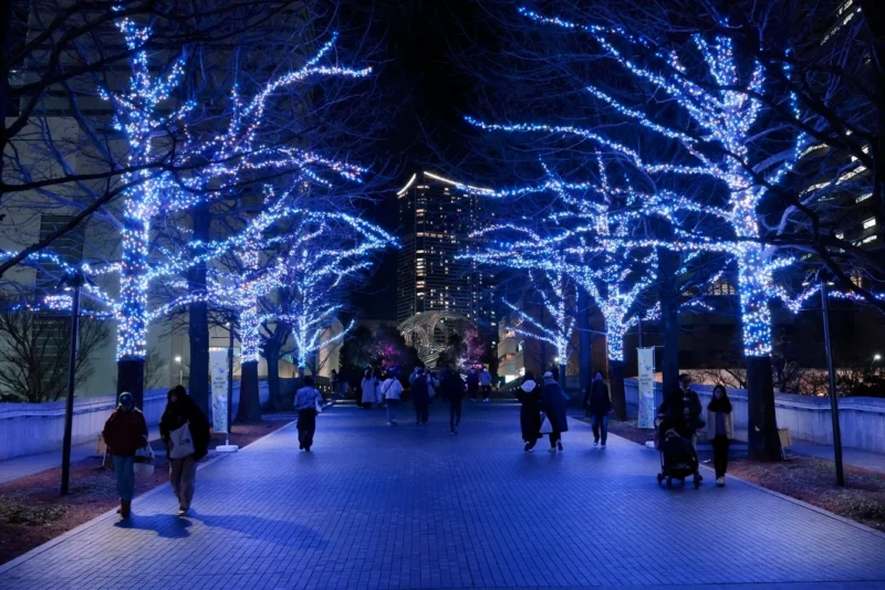 요코하마 미라이트 2025 블루 톤 거리 조명 풍경