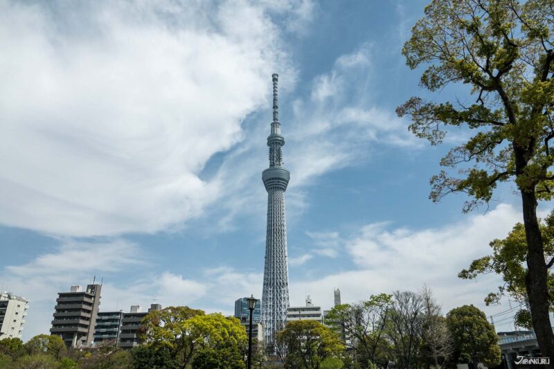 도쿄 스카이트리 전망