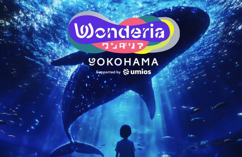 New in Japan 2026: Wonderia Yokohama