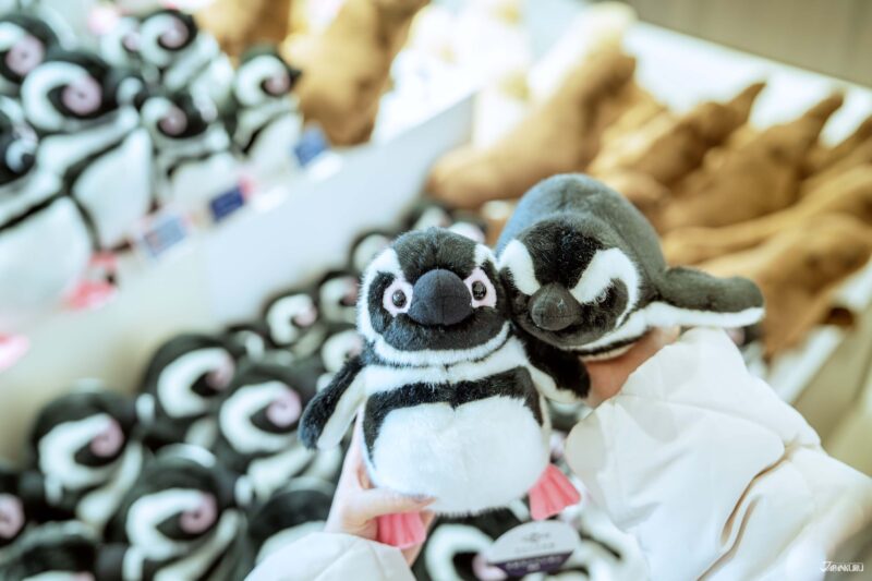 수족관 오리지널 인형들