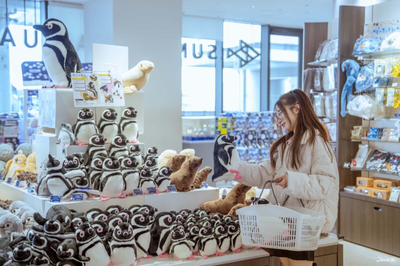 펭귄 캐릭터 인형과 쿠션