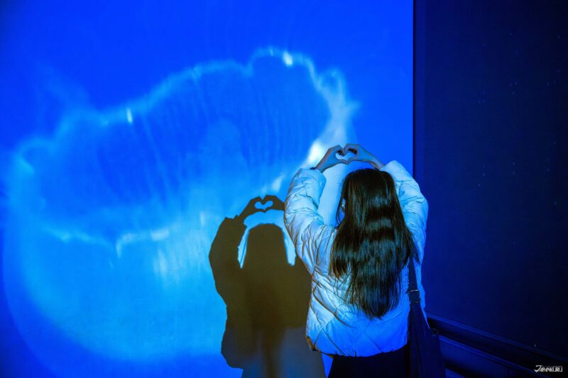 만화경 터널 전경