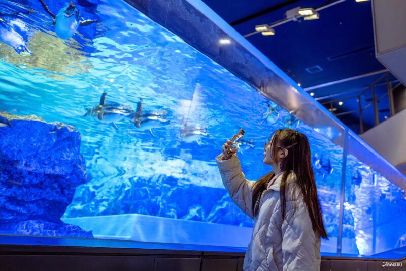 스미다 수족관 펭귄 에리어 전경