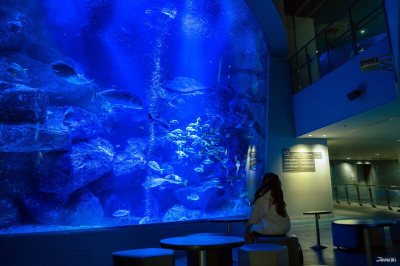 오가사와라 대수조 전경