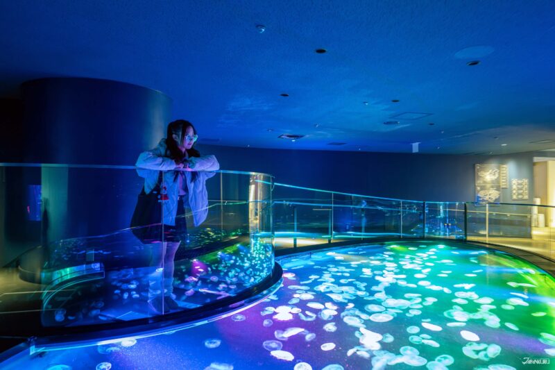 해파리 수조와 컬러풀한 조명