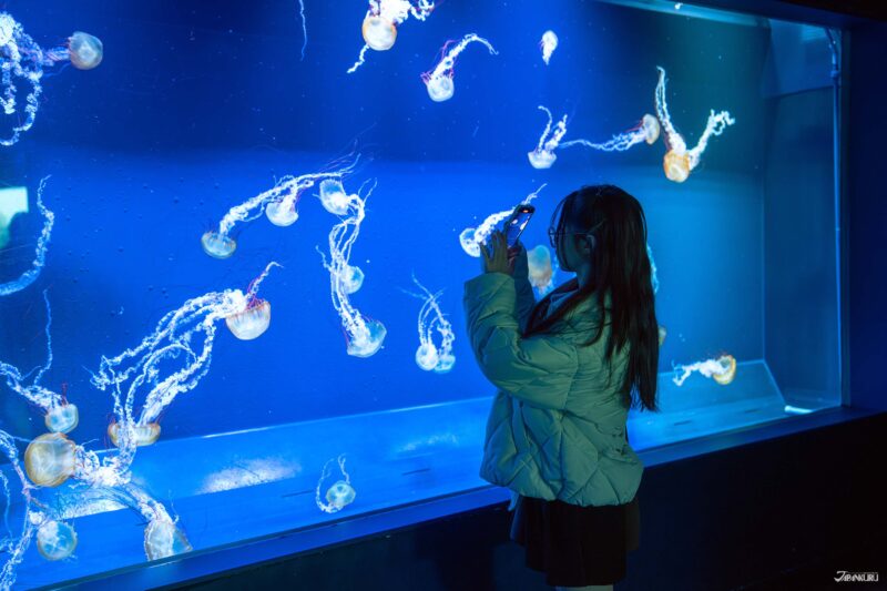 스미다 수족관 전시 공간