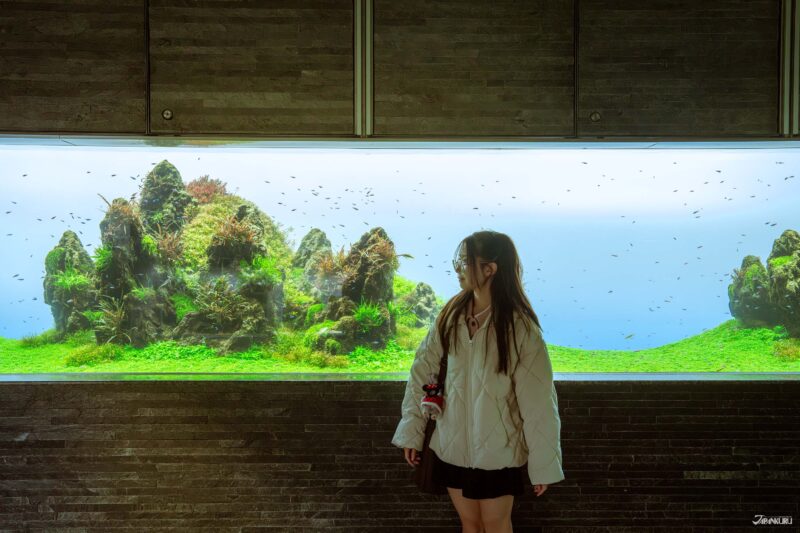 스미다 수족관 내부 자연 수경 공간