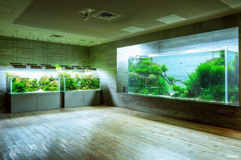 스미다 수족관 내부 자연 수경 공간