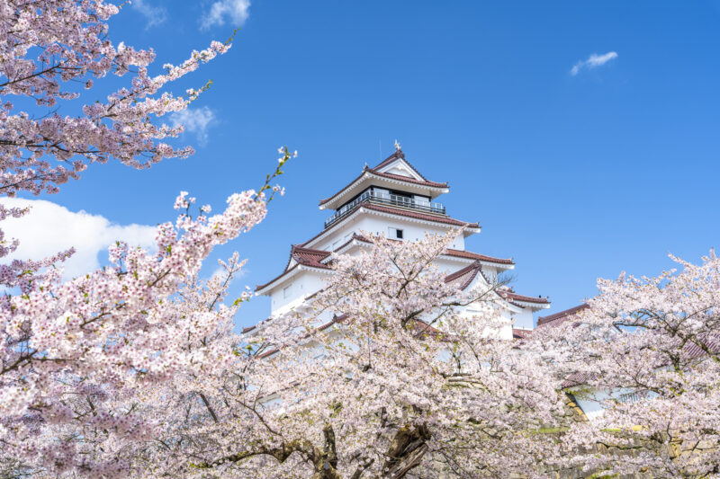 會津若松城-4月日本賞櫻-福島會津