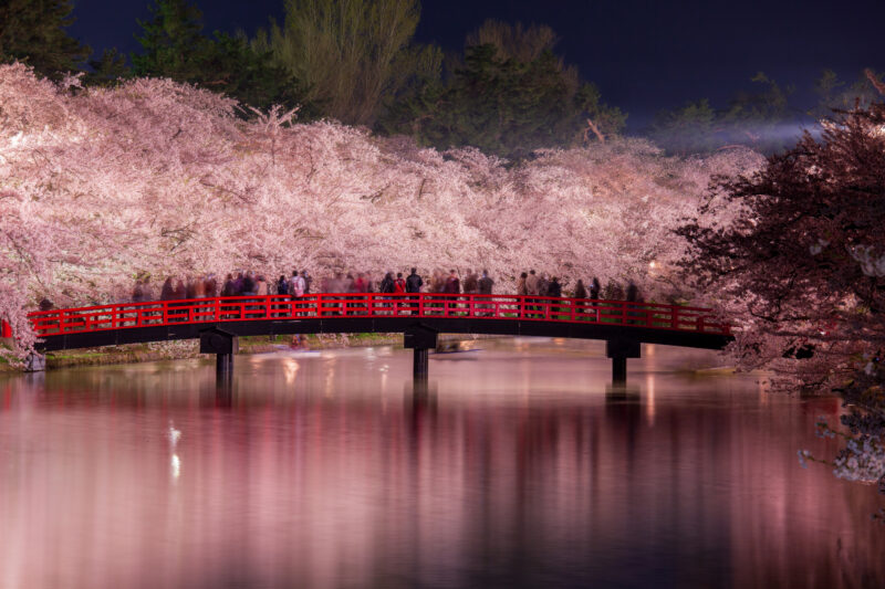 4月日本賞櫻-青森-弘前城