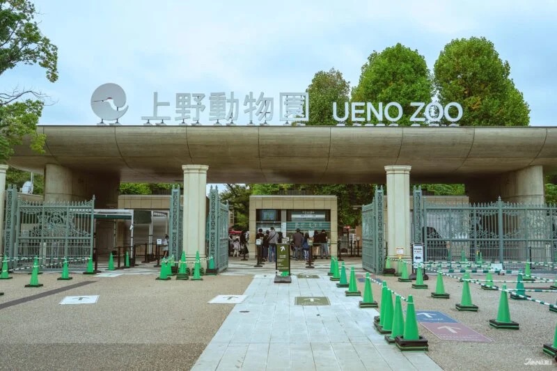 WAKAMOTO東京旅遊提案 上野動物園