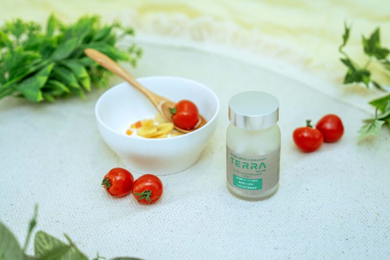 2026日本保健食品推薦 WSP 內在調理TERRA