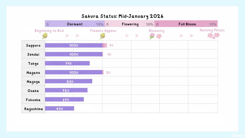 2026 Japanese Cherry Blossom Forecast