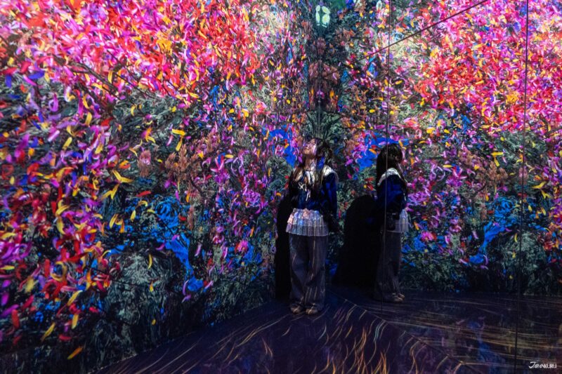 visiting teamLab Biovortex Kyoto