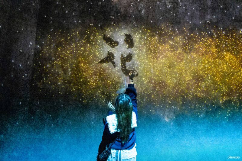 visiting teamLab Biovortex Kyoto