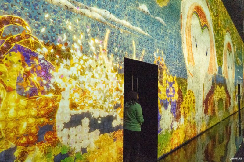 visiting teamLab Biovortex Kyoto