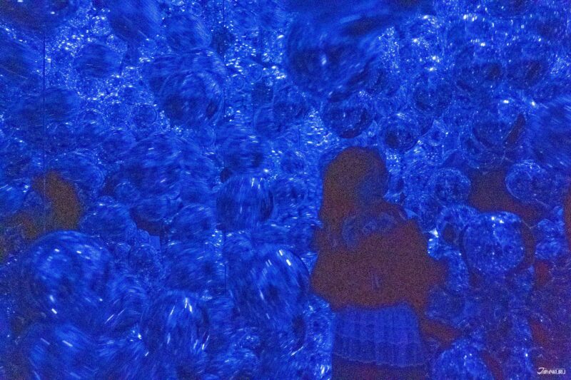 京都打卡拍照景點：teamLab