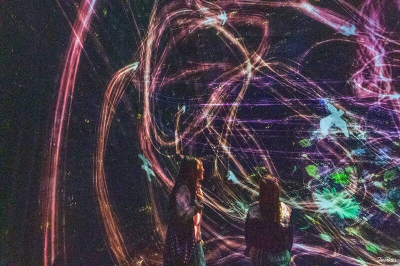 visiting teamLab Biovortex Kyoto