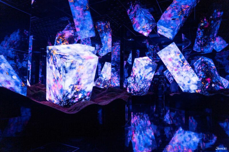 visiting teamLab Biovortex Kyoto