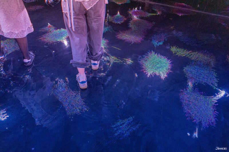 visiting teamLab Biovortex Kyoto