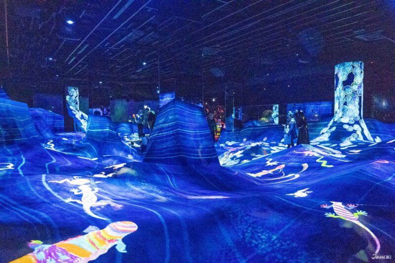 the Athletics Forest & Future Park at teamLab Biovortex Kyoto