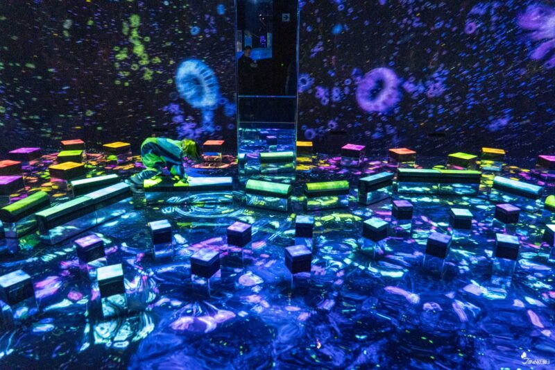 the Athletics Forest & Future Park at teamLab Biovortex Kyoto