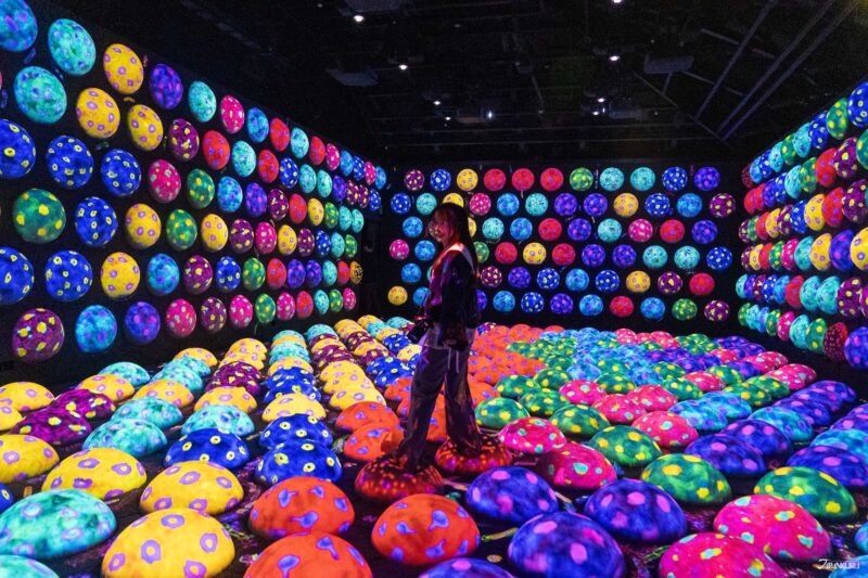 the Athletics Forest & Future Park at teamLab Biovortex Kyoto