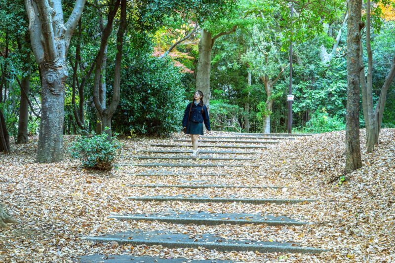 นักท่องเที่ยวเดินเล่นในสวนสาธารณะชิโอคาเสะ ล้อมรอบด้วยต้นไม้สีเขียว