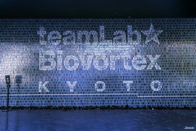 visiting teamLab Biovortex Kyoto