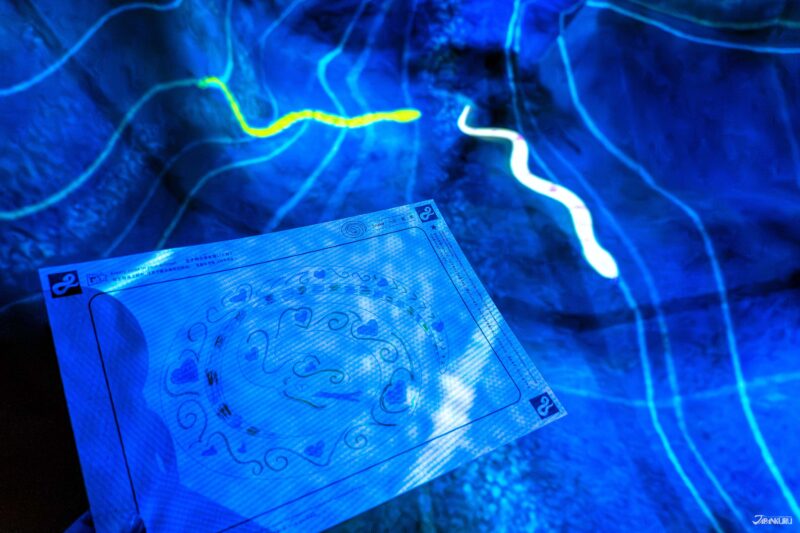 the Athletics Forest & Future Park at teamLab Biovortex Kyoto