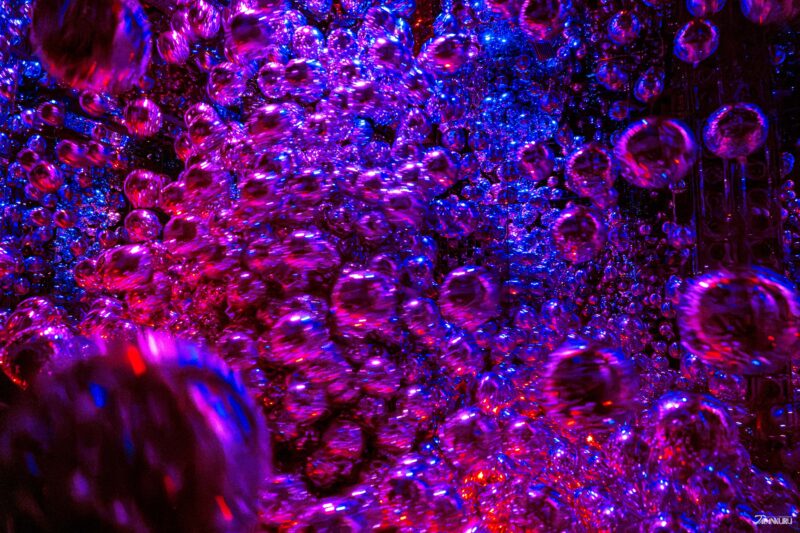 visiting teamLab Biovortex Kyoto